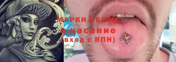 индика Лихославль
