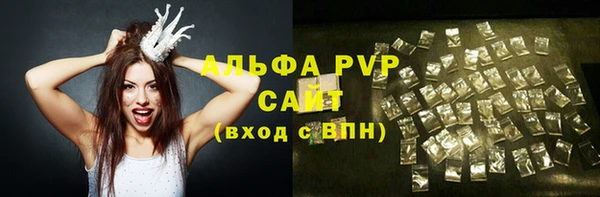 индика Лихославль
