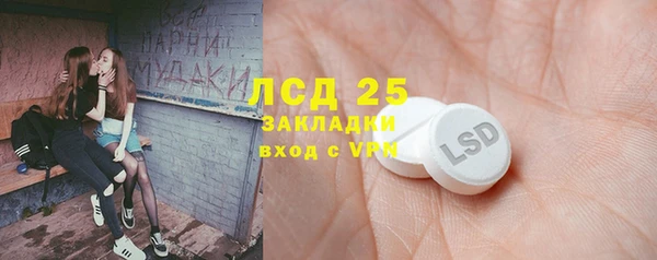 индика Лихославль