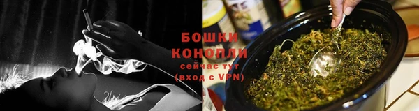 индика Лихославль