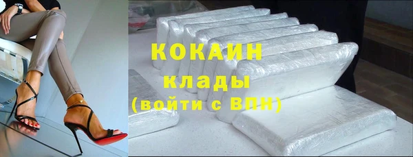 индика Лихославль
