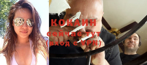 индика Лихославль