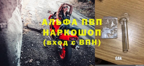 индика Лихославль