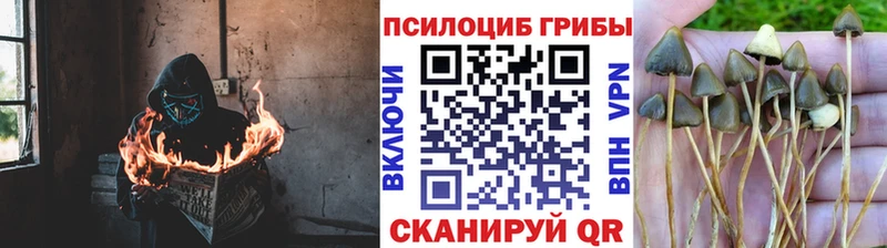 Псилоцибиновые грибы ЛСД  Альметьевск 