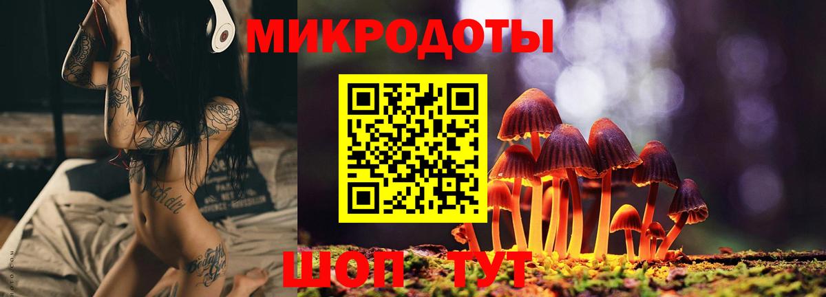 Галлюциногенные грибы Cubensis Альметьевск