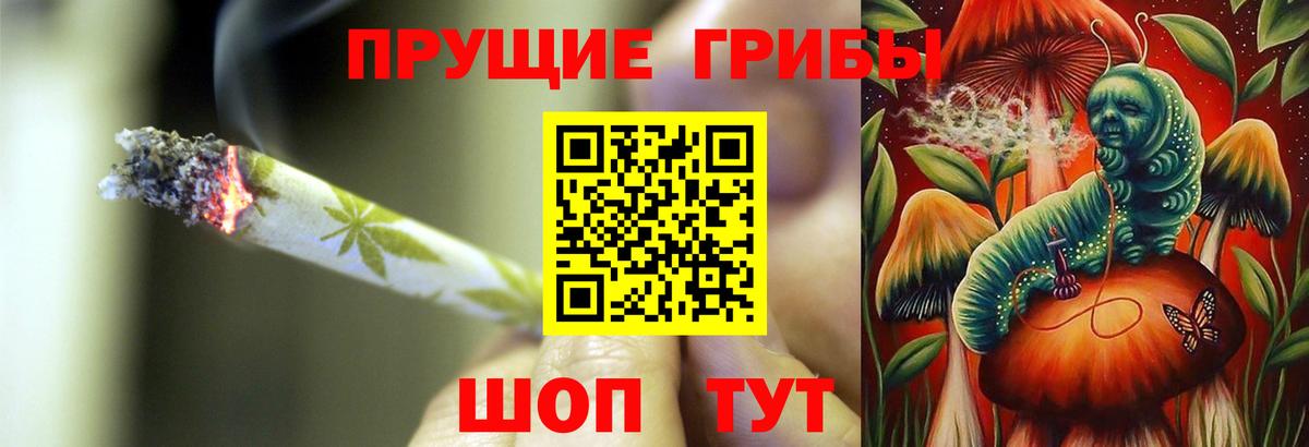 Псилоцибиновые грибы Psilocybine cubensis Альметьевск