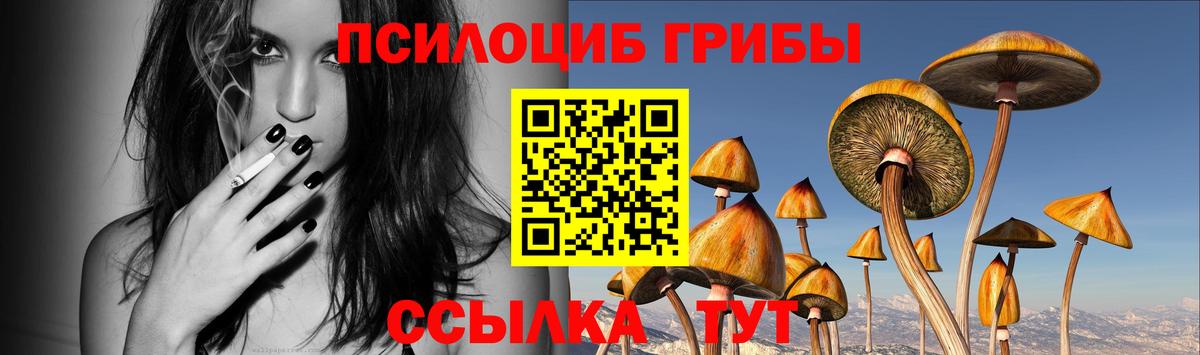 Альметьевск  Псилоцибиновые грибы мухоморы  Псилоцибиновые грибы Cubensis  Вход с VPN 